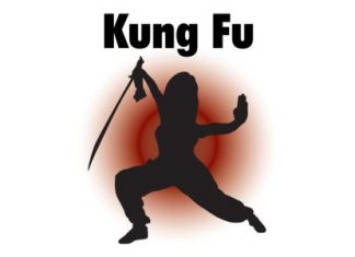 Kung Fu Styles