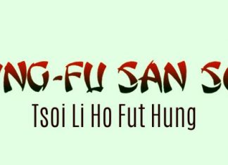 Kung Fu San Soo