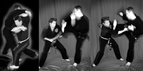 Martial Arts Training Online with Dave Johnson