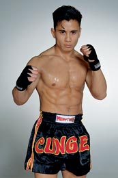 Cung Le