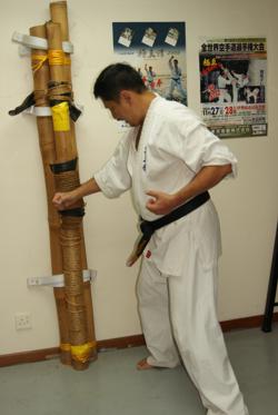 Shihan Michael Ding