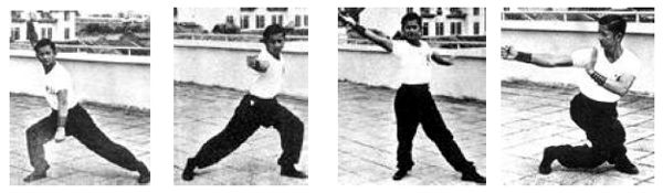 tiger kung fu techniques