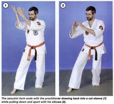 End of Seiuchin Form