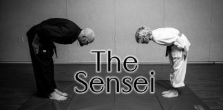 The Sensei - Tahoe Mountain Fitness