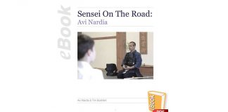 Sensei on the Road: Avi Nardia