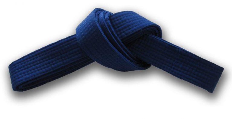 Remembering Beginnings: My Blue Belt Test and Sport Karate | USAdojo.com