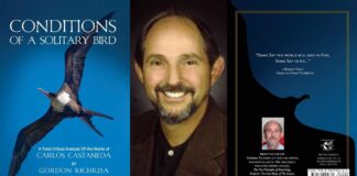 Conditions of a Solitary Birds by Gordon Richiusa